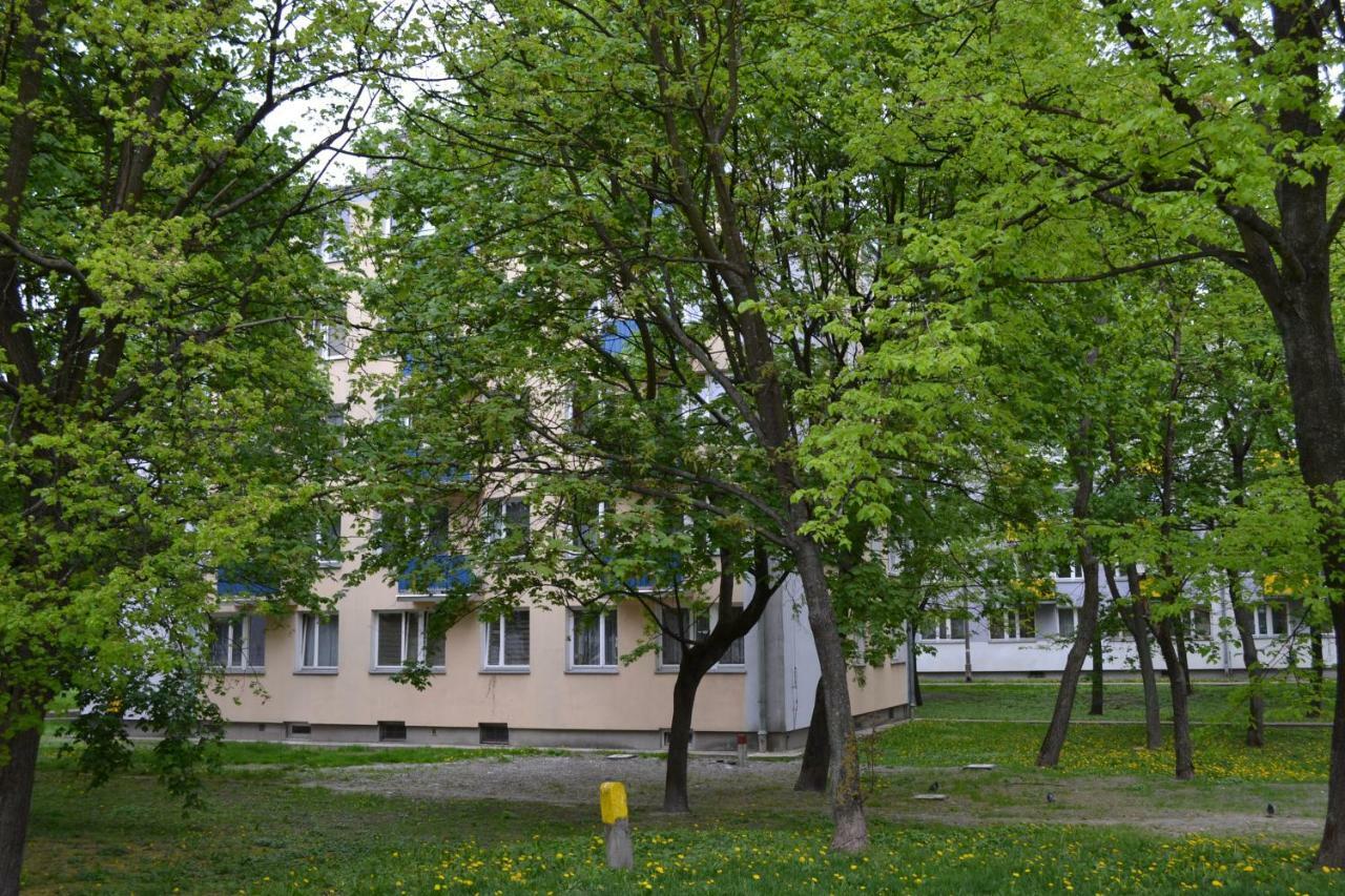 Apartament Chełm מראה חיצוני תמונה